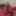 Sexy black and pink dick, sexy hot cock. Tamil cock