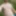 Russian nudist outdoor 
