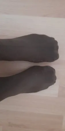 the evas foot         