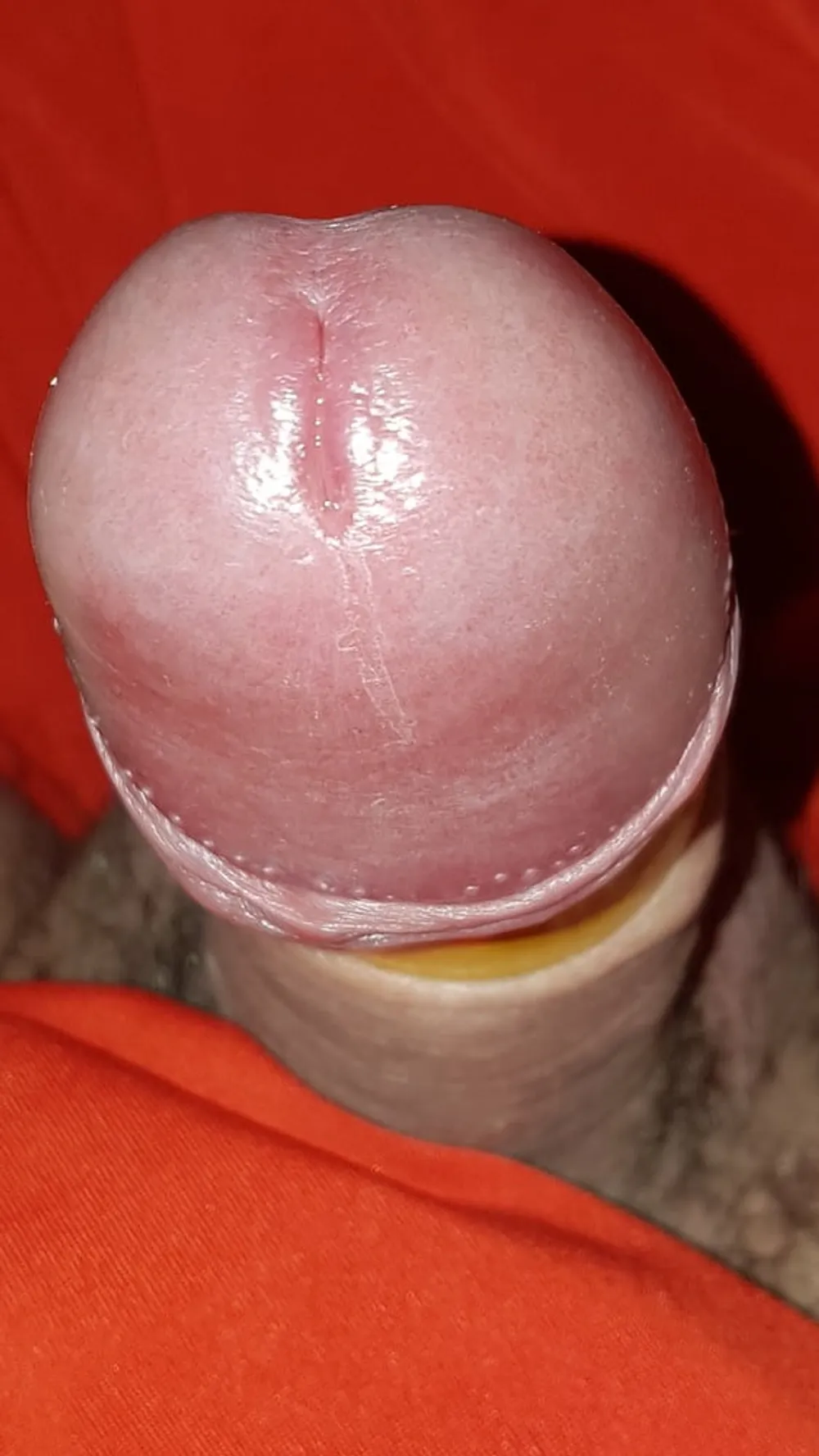 Cock ring #23