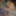 big thick white cock masturbation ejaculations 