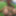 Hucow nipple transformation 4k screen shots
