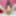 Alisya JC weekly photos 31 Anal Dildo Gape
