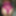Cerise Body Suit