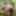 Horny male Slave Outdoor on Wall,Erected