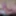 pictures of my big cock lying on the sofa