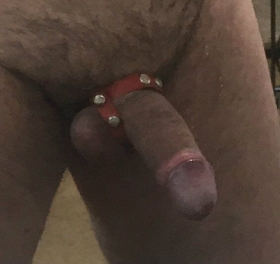 My Dick Fotky (2)