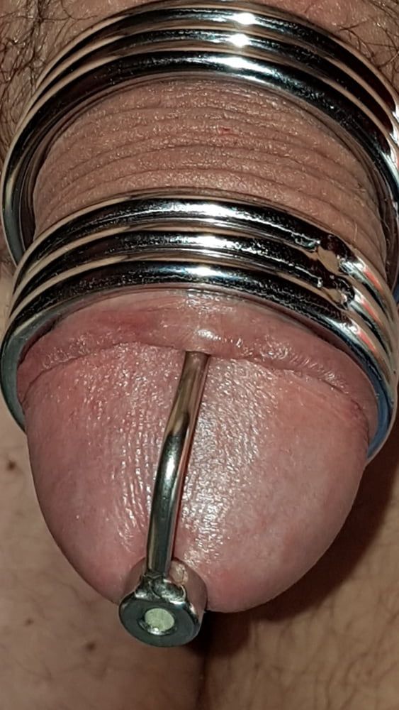 Cock ring #11