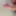 My veiny dick