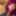 Cosplay Sexy Hot Blowjob with Funny Faces of a Teen Redhead  #7