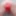 Fat Daddy Nick&#039;s close ups gallery #6