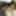 Moe Osaki Shy Tit Play to Creampie