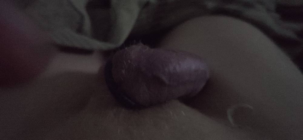 Cock with Ring #7