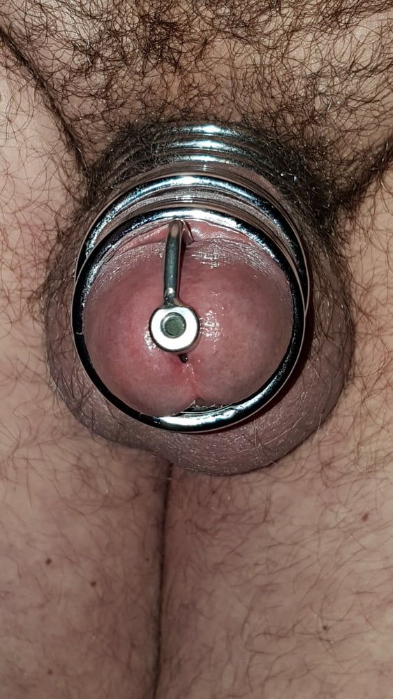 Cock ring #20