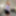 TRANSVR: Come Play With Stacie Delight! #2