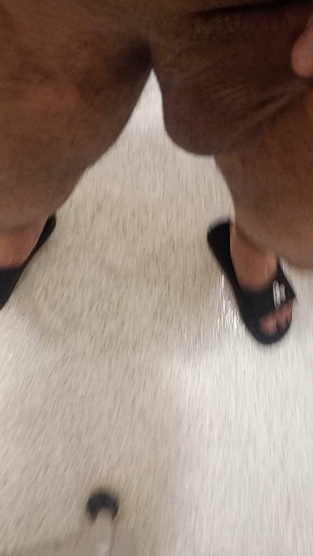 Dick 