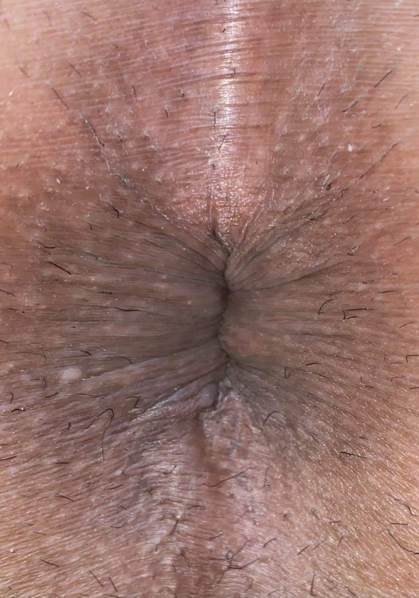 Close-up of a man's anus #12
