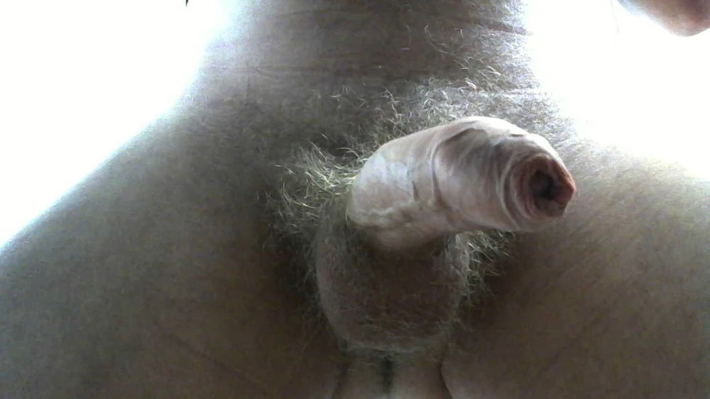 Cock Pics #43