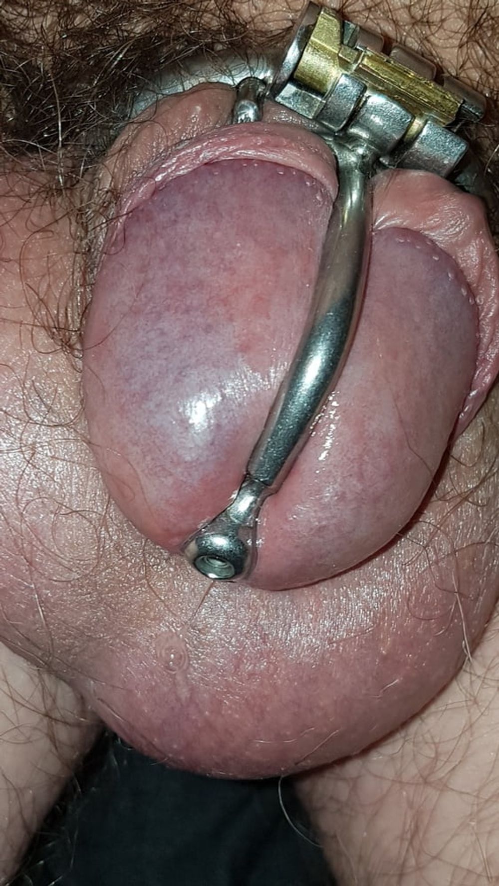 Precum and cum #29