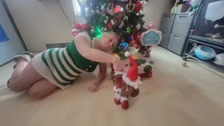 christmas photos         