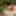 Verbotene Aufnahmen nude in Public 2