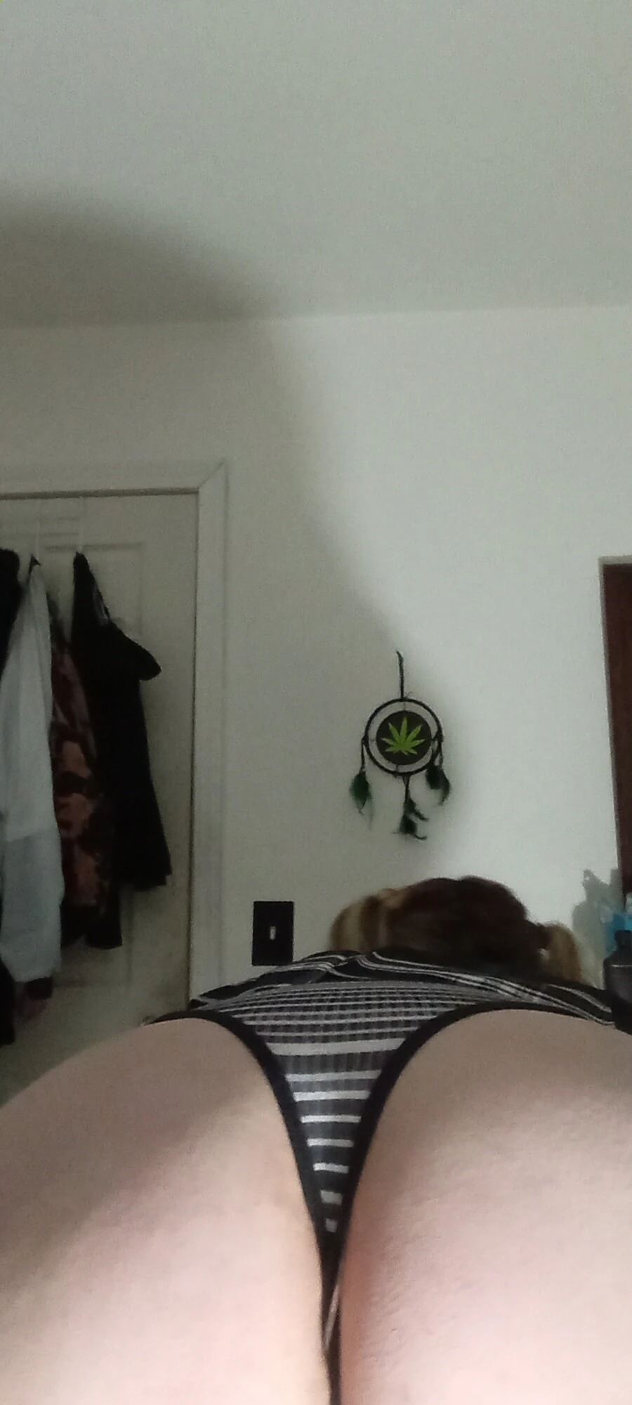 my ass