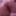 Big Tit BBW Teen pluh both holes #12