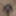 Oktober 5, 2024 Daily duty of the naked slave