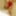 Wetting myself in my red body and stockings oops! #4