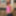 DeluxeDivas.com - Live Chat - Monika #7