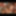 HardX Animated GIFs Gallery #2