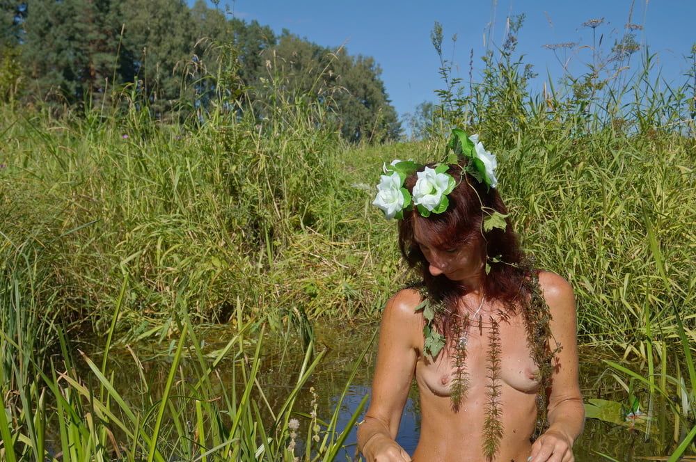 In pond with waterflowers #32