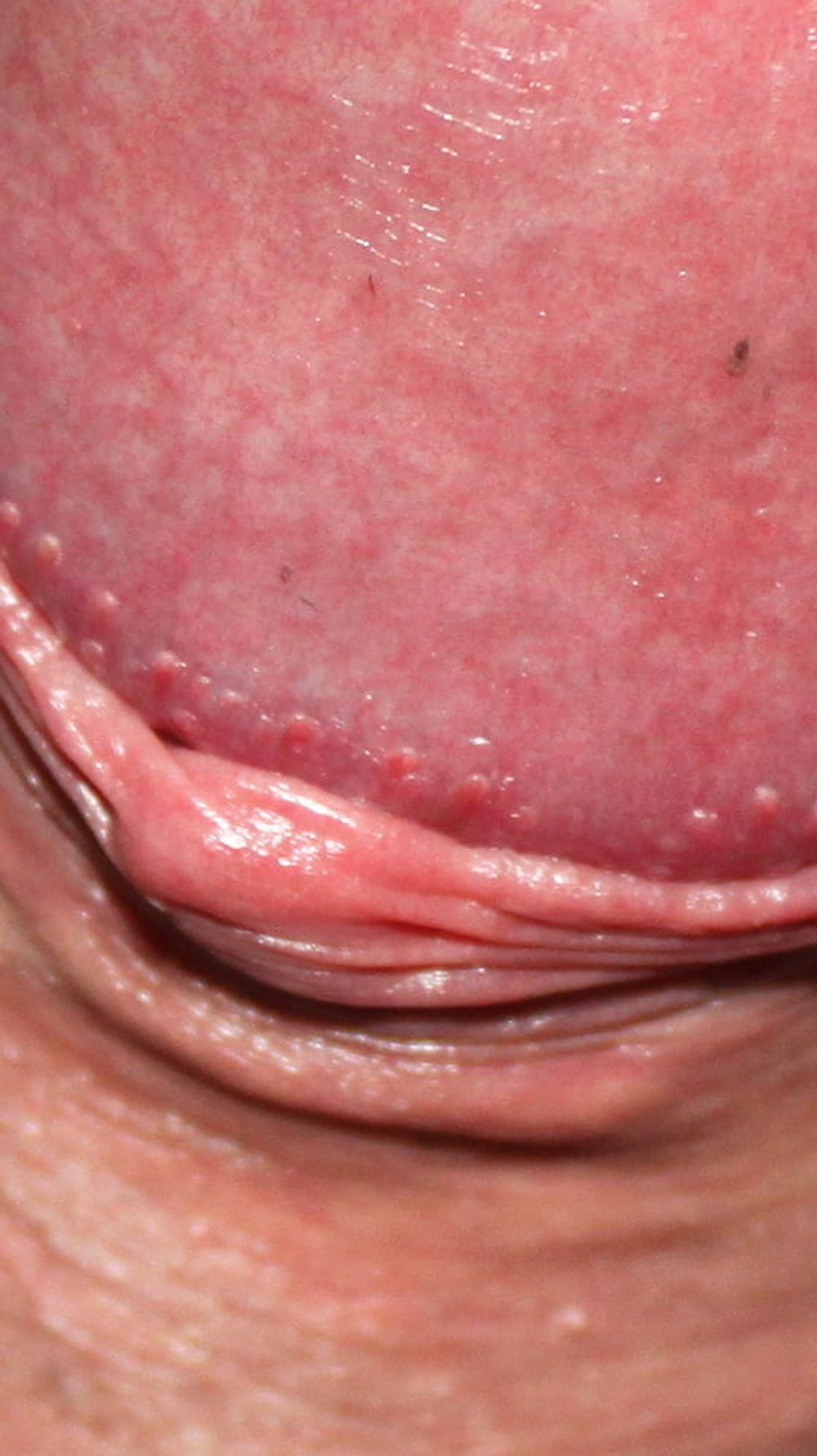 Close up dick #24