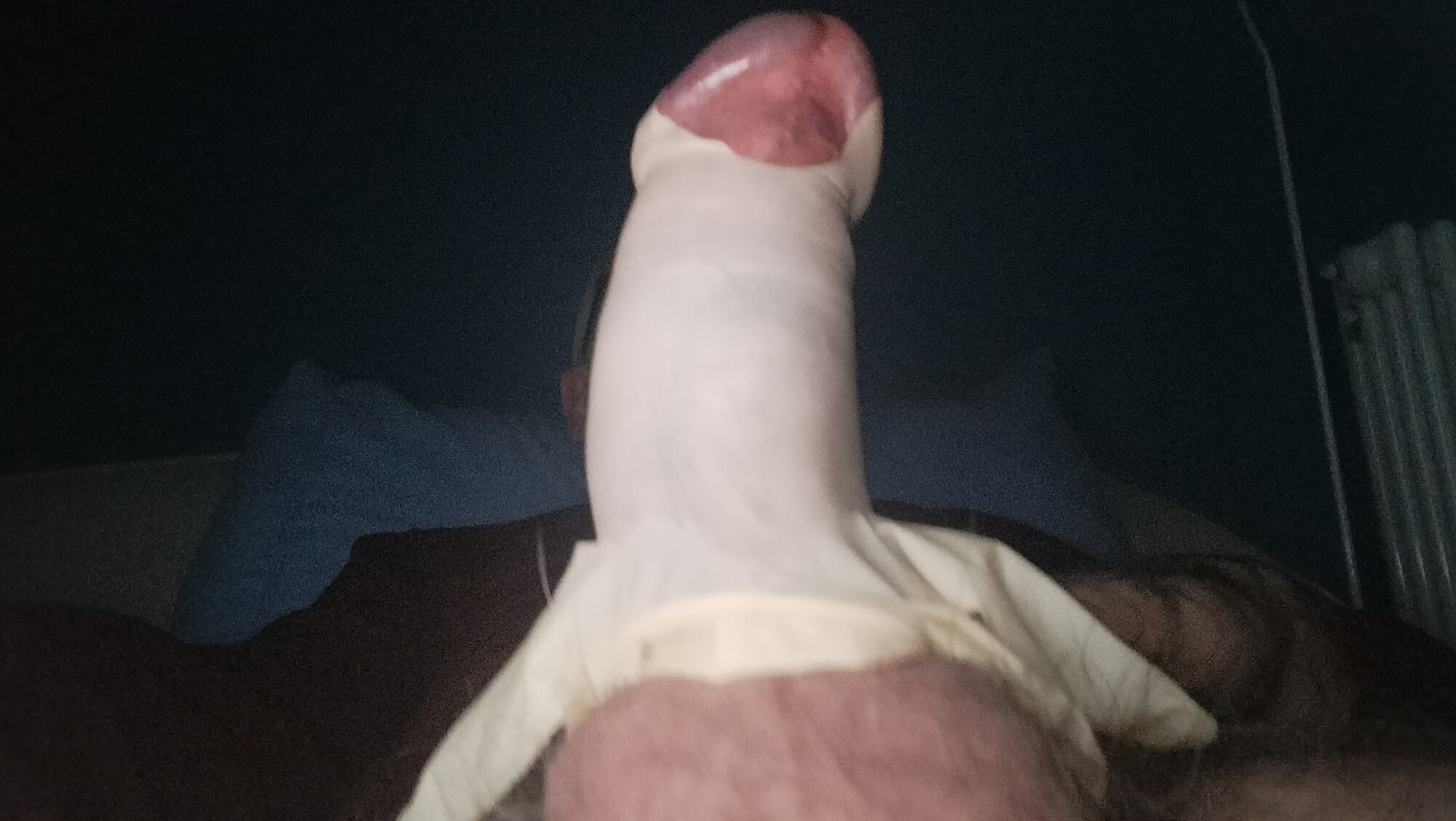 cock harnessed close up  #7