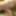Dildo games as well as oil games horny