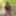 Kahverengi transparan elbiseli seksi travesti kellycd2022