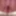 Horny fat body