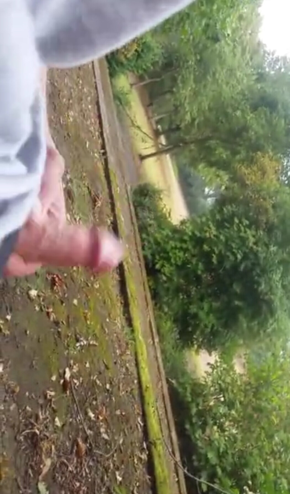 Draussen im Park mit schwanz gespielt #7
