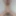 Weighing, cagecheck, naked on my knees 9/4/2023
