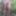 Tygra slut nude in the forest of the Robertsau. #34