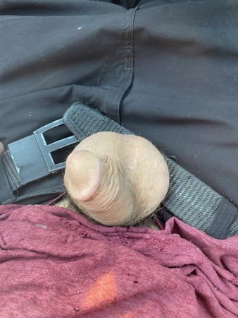 Hard cock in car