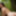 Sexy Druid Women in the Forest - HD - Teaser #2
