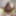 FHUTA - Ebony MILF Ana Foxxx Gets Fucked In The Ass By Instr