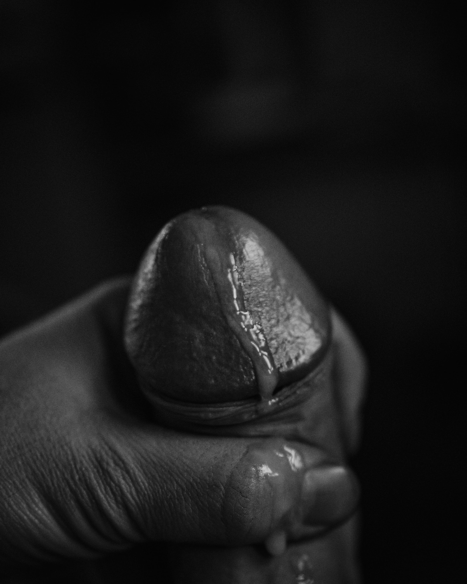 Sperm #2
