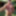 Naturist #17