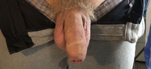Soft thick dick in pants unzipped  #14