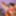  Dani Jensen and Veronica Avluv are neighbors, who are going #2