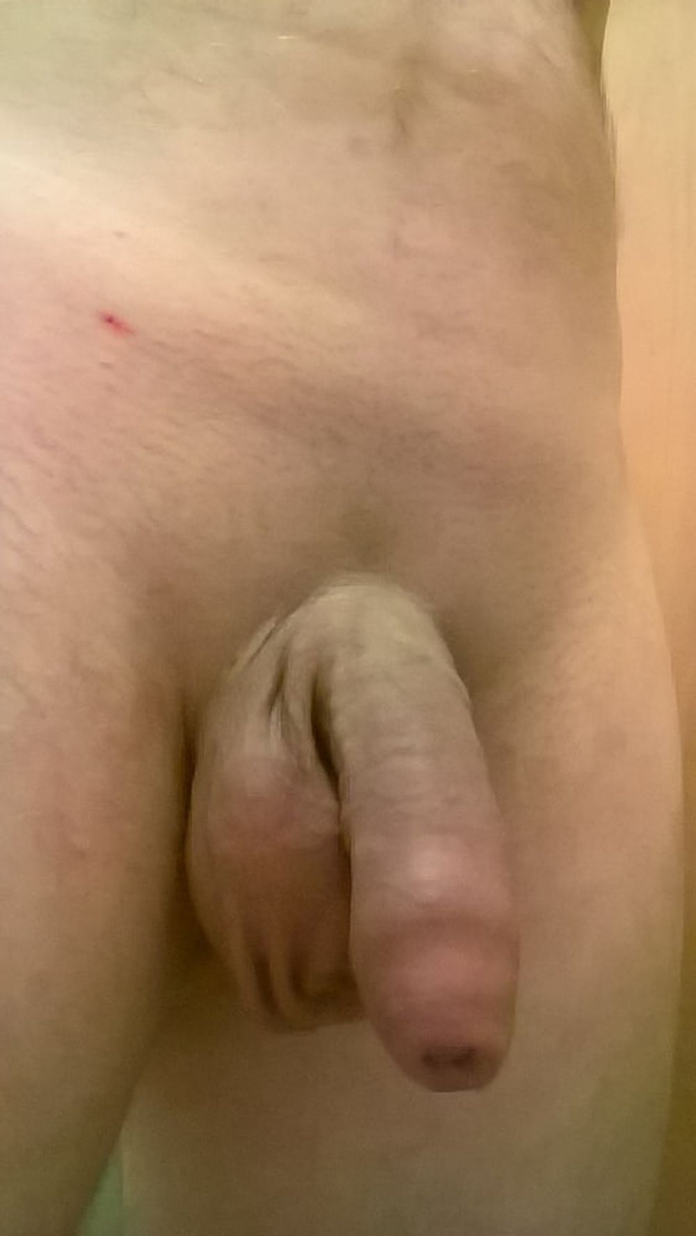 new fresh shaved cock