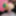 Alisya JC GIF 13 anal dildo fisting gape #10