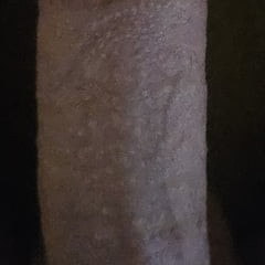 コック